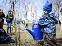 А хочеш знати, чому на вулицях брудно, ями на дорогах та довкола бардак?