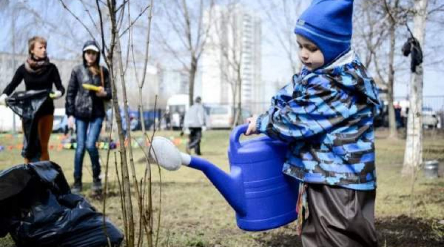 А хочеш знати, чому на вулицях брудно, ями на дорогах та довкола бардак?